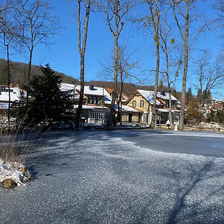 Ferienhaus Ilsenburg, Luxurioese Landhaeuser Mit Sauna Und Kamin, Mitten Im Harz Esterno foto
