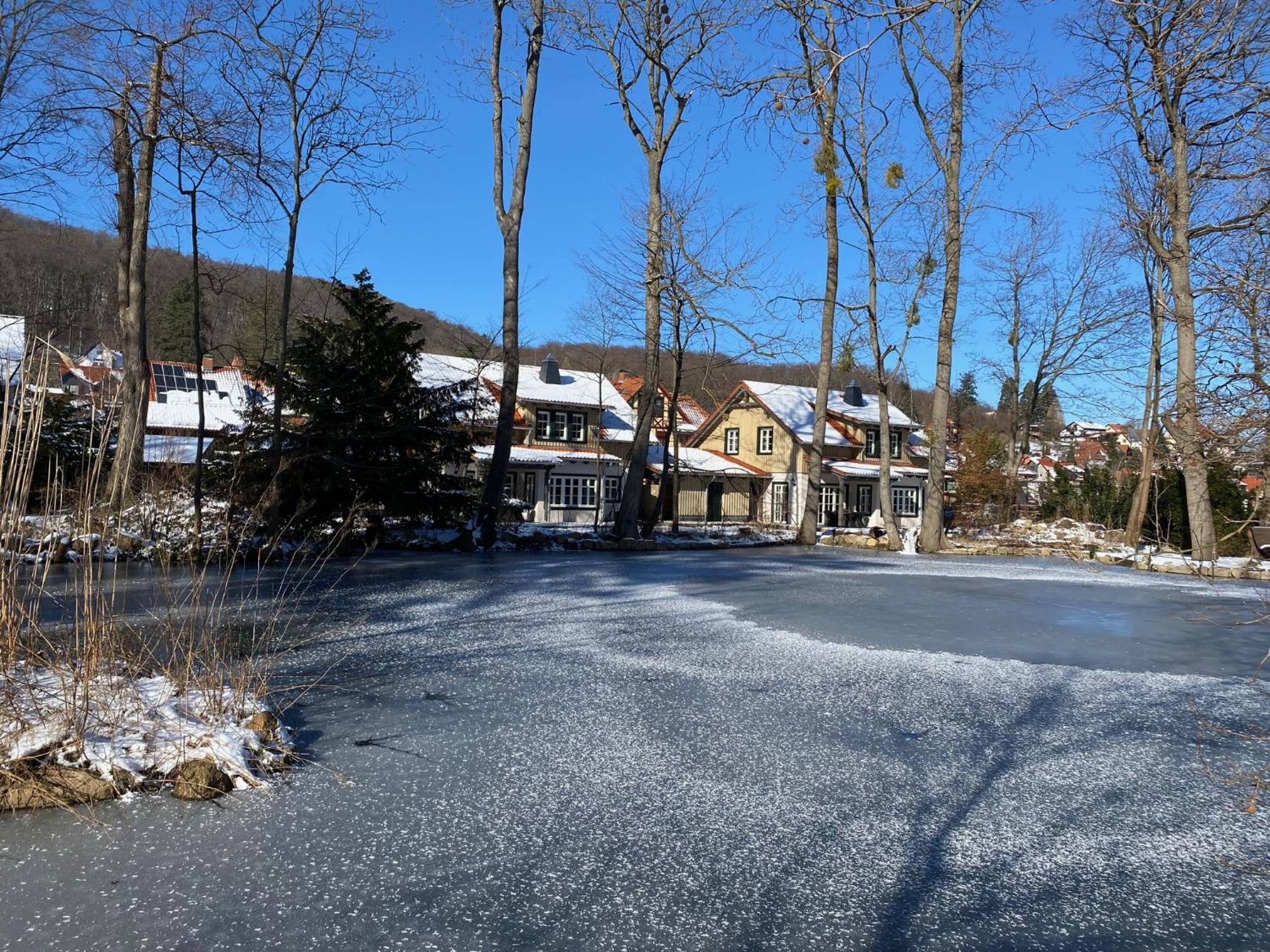 Ilsenburg, Luxurioese Landhaeuser Mit Sauna Und Kamin, Mitten Im Harz Ilsenburg (Harz)
